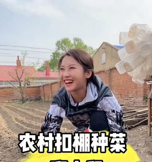 相助之情（化解困境）
