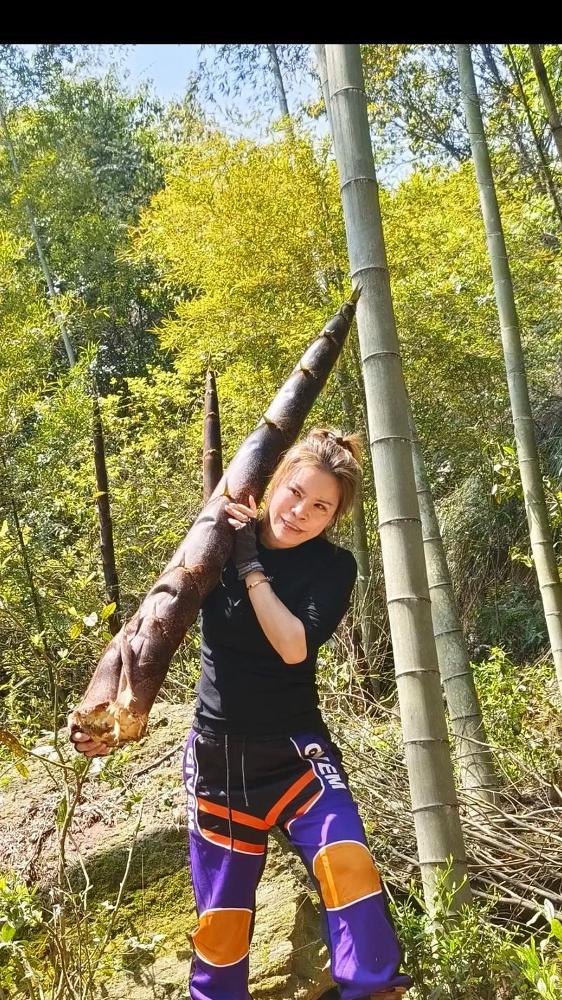 大自然的奇妙世界（探索未知的旅程）