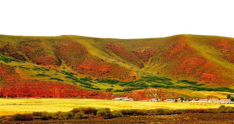 路边的风景（一段悠久的记忆）