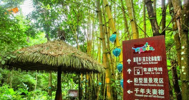 快乐的旅行家（探索未知世界，收获珍贵回忆）