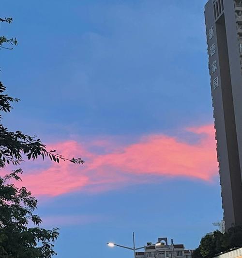 青春夜话（曾经美好的夜晚）
