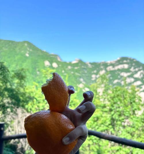 风和日丽下的那个日子