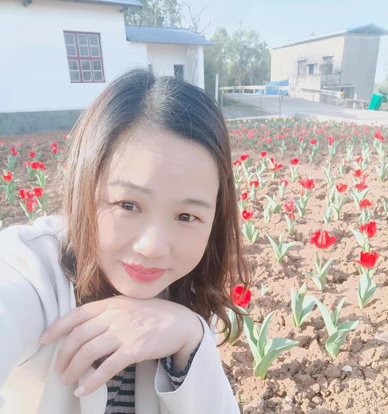 春天里的花开花落（春天里的花开花落）