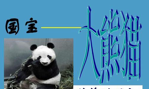 大熊猫的守护者（一个小女孩的故事）