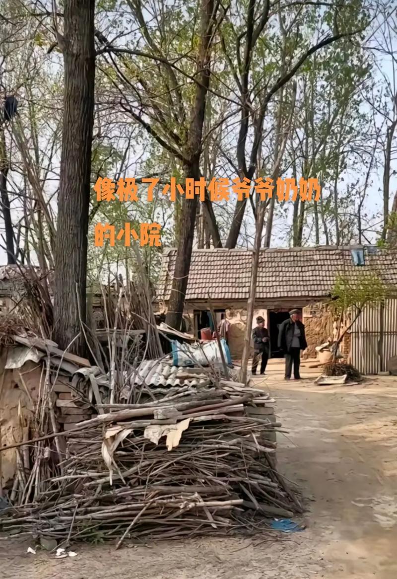 记忆的深处