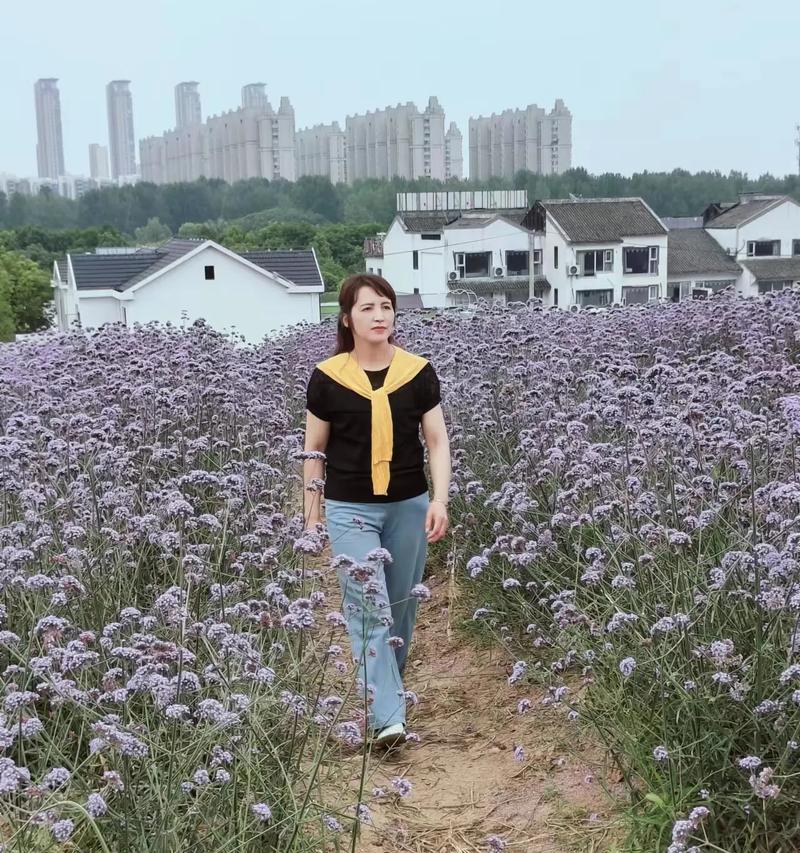 儿时的家乡端午节（回忆那个充满欢乐和美好的节日）