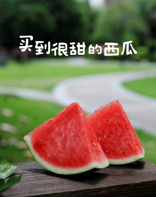 家乡的秘密（一位小女孩的探险之旅）