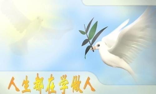 用爱与责任铸就人生（用爱与责任铸就人生）