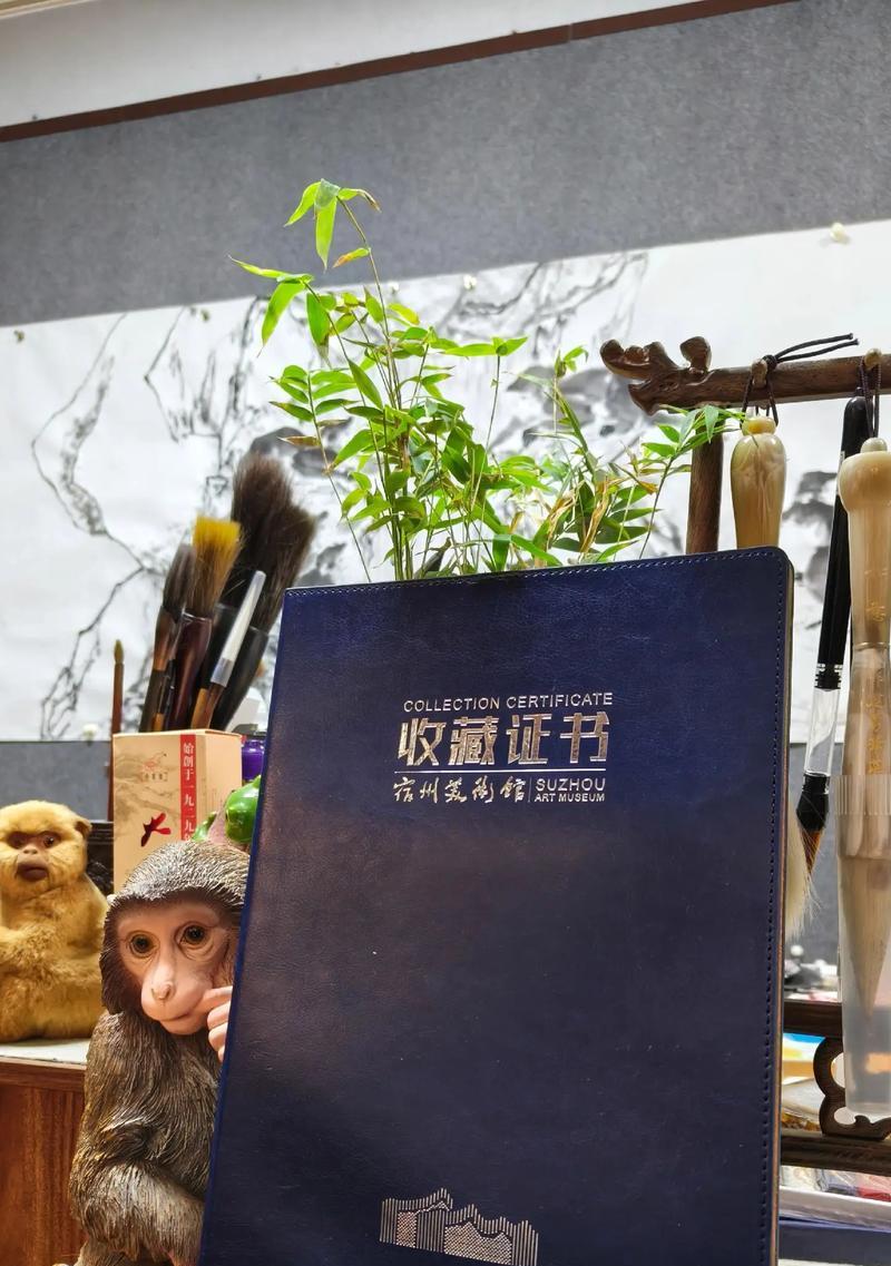 一个梦想改变的生命（少年的憧憬）