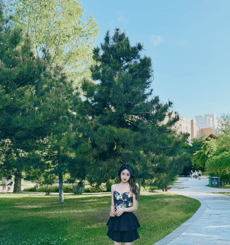 现在才是最好的（一个普通人的幸福故事）