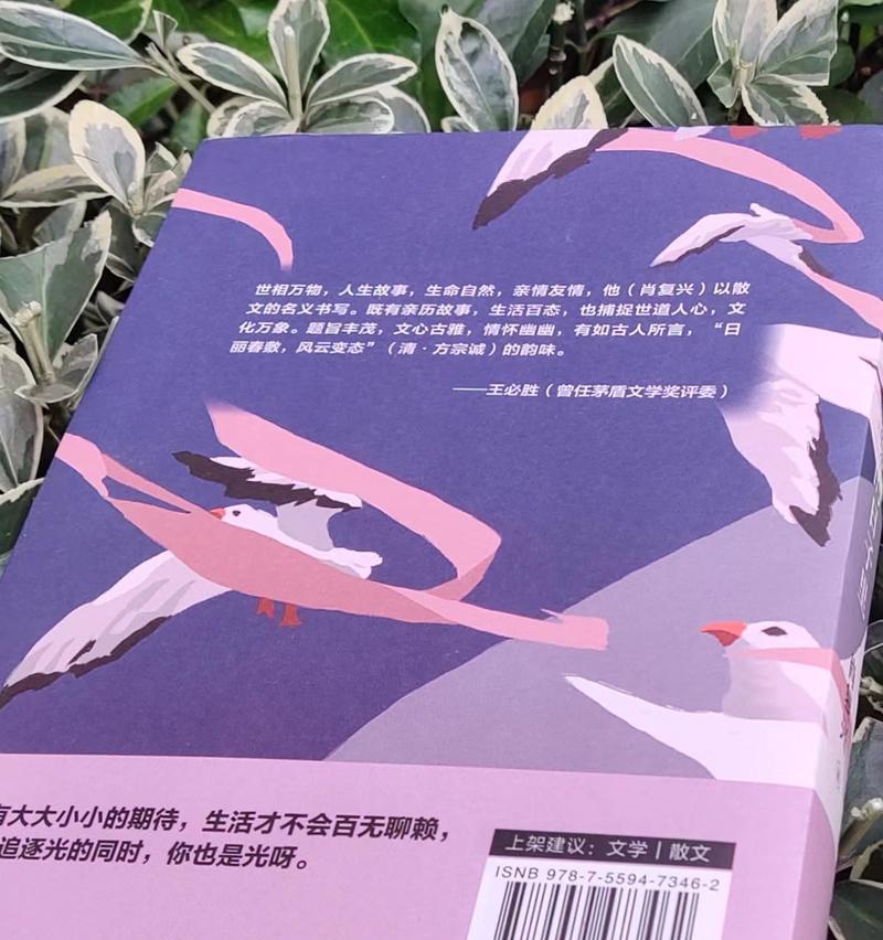 书中成长，书中有你（读书之路，成长之路）