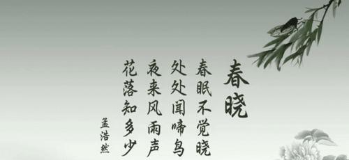 唐诗之魂（一位年轻女孩的寻诗之旅）