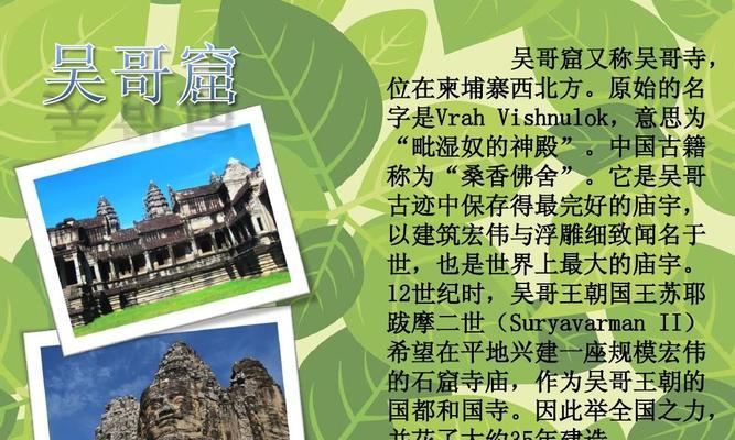 的正确性和语言流畅性。