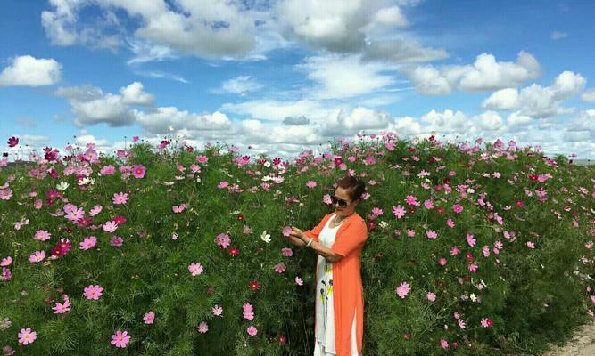 如花时光（花样年华的回忆）