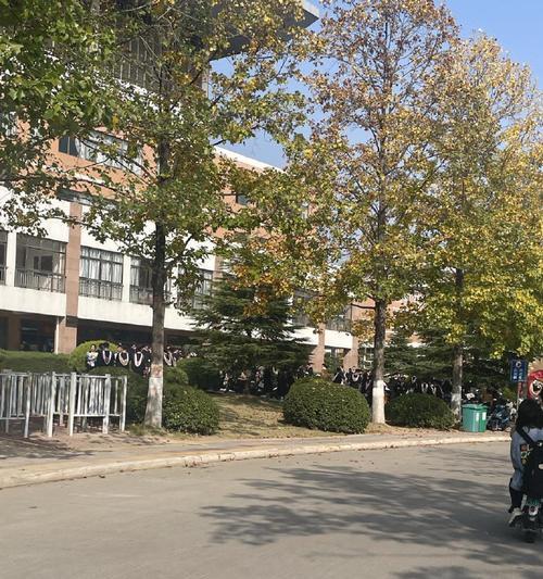 伸出援手，谱写友谊篇章（同窗情深，携手成长）