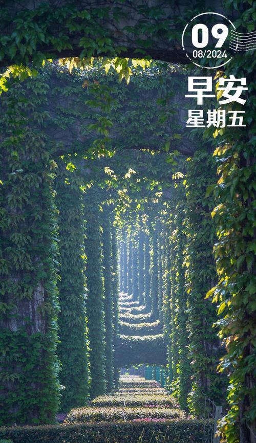 我和小伙伴的趣事（欢笑、成长、友情）