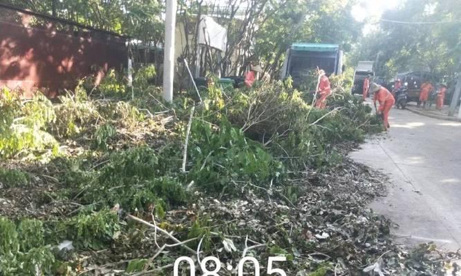 风雨中的坚守（以台风中的清洁工为主题的小故事）