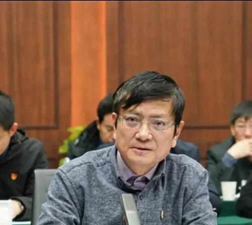 重新振作，勇往直前（小明的成长历程）