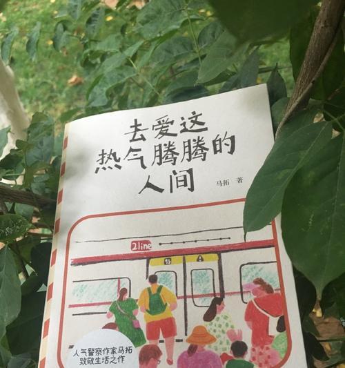 日常琐事（探究生活中的小细节）