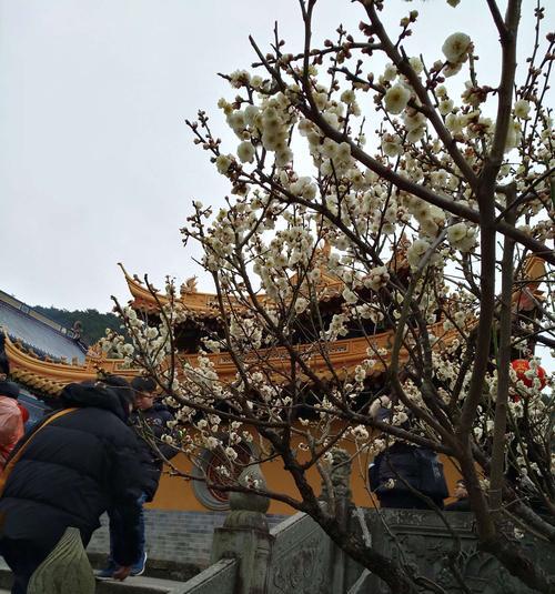我想去看看——一个关于旅行的故事