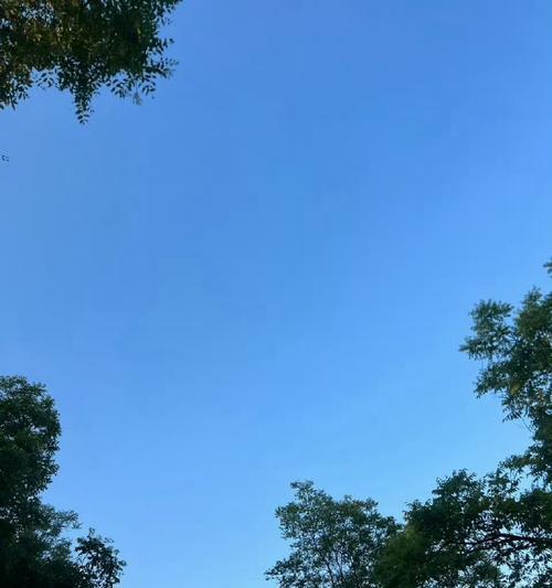 阳光下的成长（一颗种子的蜕变）
