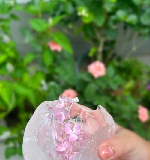 夏日趣事——和小伙伴一起玩水