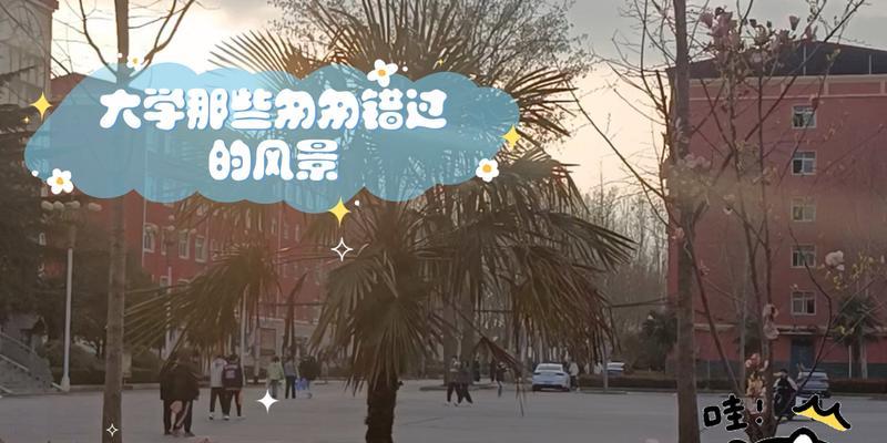 错过的风景（错过，有时也是一种幸运）