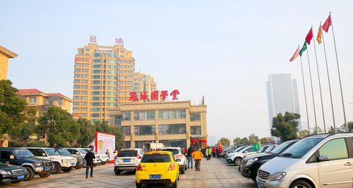 因为有爱，所以温暖（一个寂寞的老人和他的小狗）