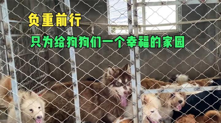 负重前行——重担压肩的人生之路