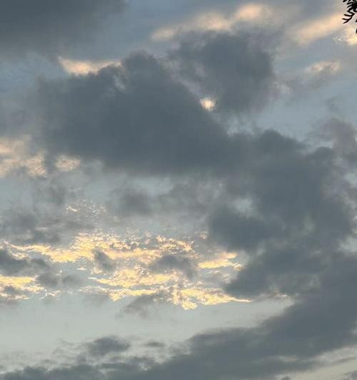 花开有声，人生如诗（身边风景，映照人生）