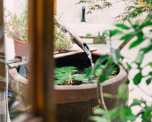随风飘荡的人(放弃束缚、追逐自由)