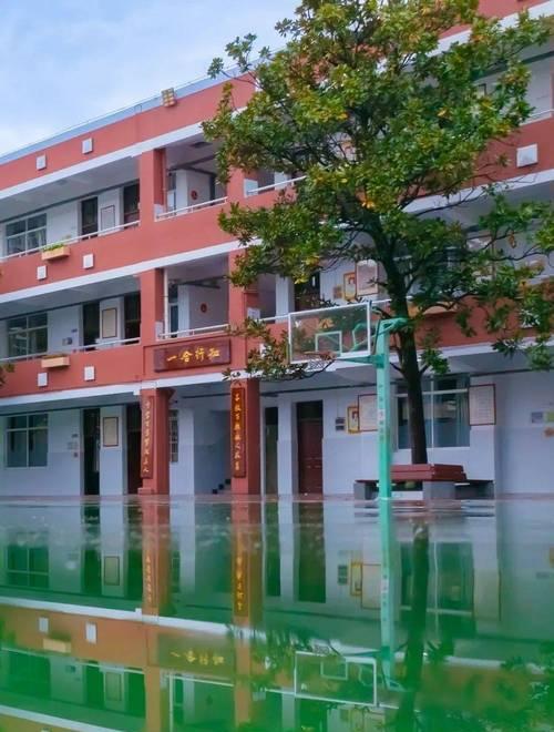 校园美景（探索，发现，感受）