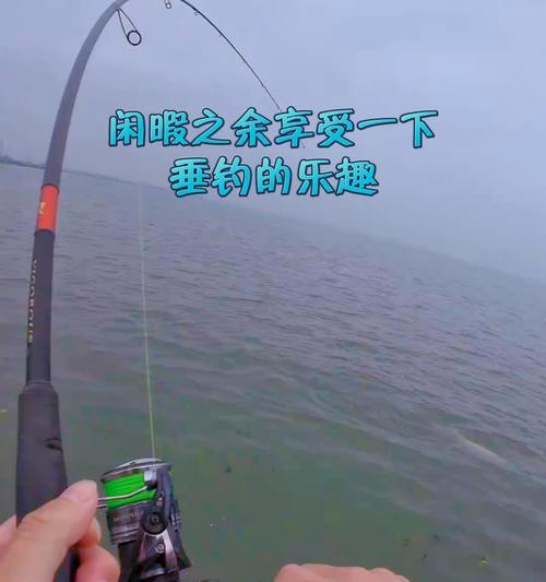 垂钓的乐趣（探寻生命的意义）