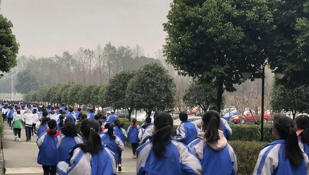 蓝天下的青春故事（蓝天下的青春故事）