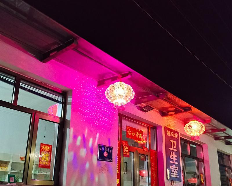 故乡除夕夜（勇气与智慧的传承）
