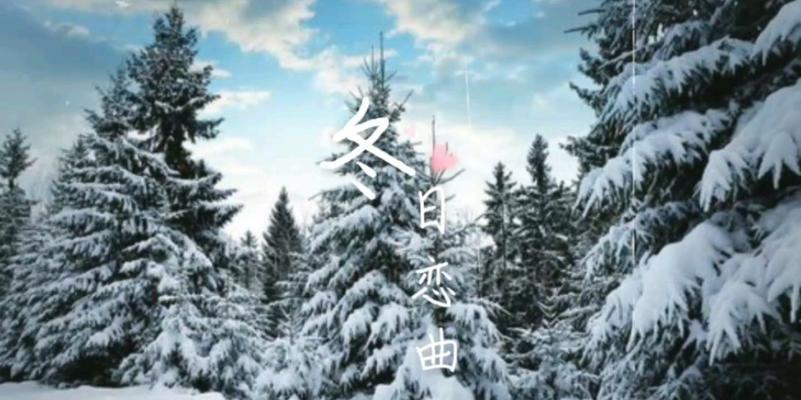 在雪地里寻找快乐（在雪地里寻找快乐）