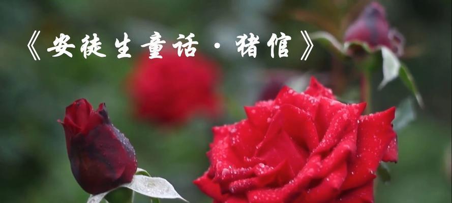 一段让人感动的故事（一段让人感动的故事）