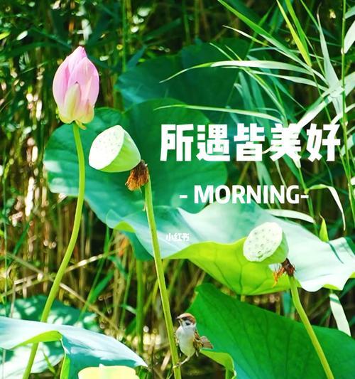 温暖的相遇(那个不期而遇的陌生人)
