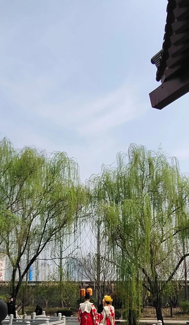 春日清风，花开如画（一个女孩的春日故事）