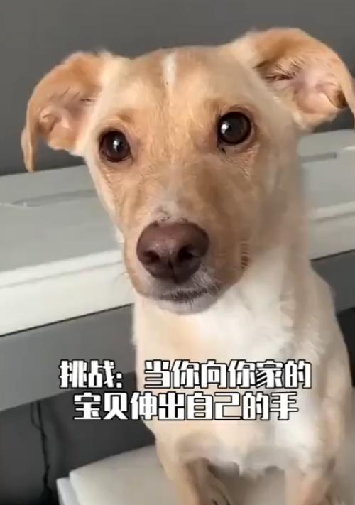 伸出手的温暖（人性的美好与善良）