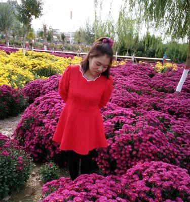 国际妇女节|幸福的礼物|感恩与祝福