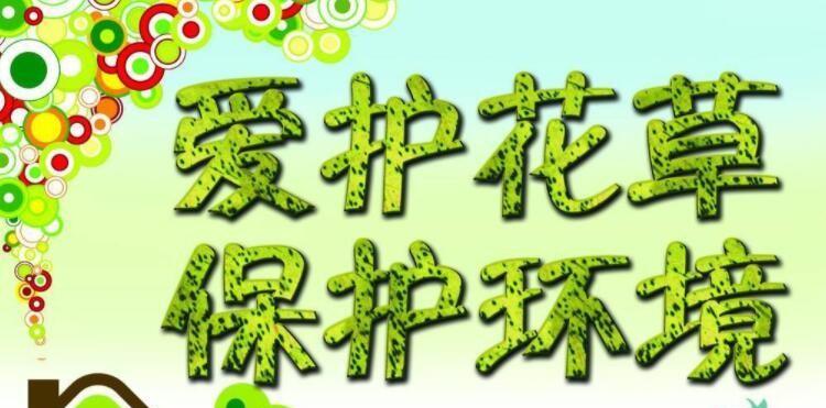 《爱护花草，人人有责》（用心呵护，让世界更美好！）
