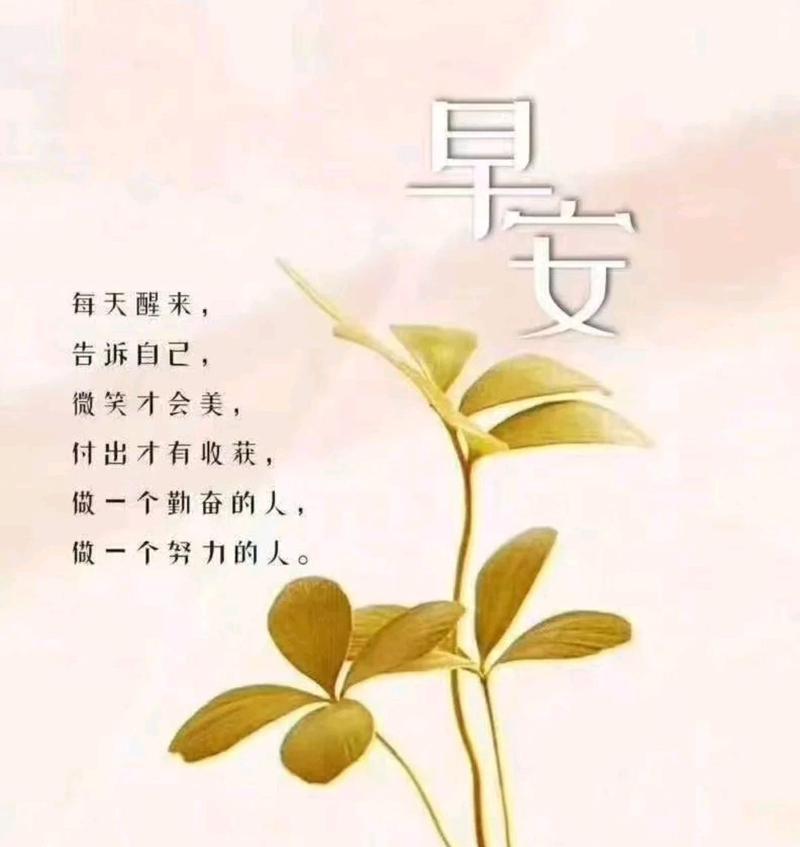 芽生（以努力的种子为基石）