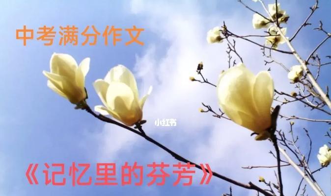 记忆中的芬芳（时间流逝，芳香永存）