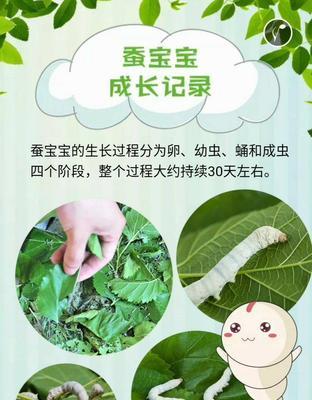 以感悟为师，追求卓越的成长之路（一位年轻人的成长历程）