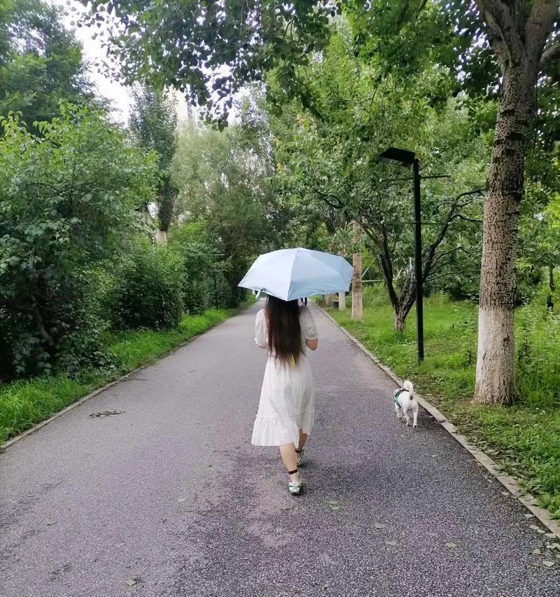 人生路长，漫漫旅途，我的选择（坚定前行，迎接挑战）