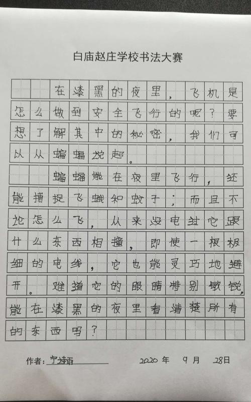 未来的记忆——我的祖国我爱你（以为祖国出一份力，我的梦想才得以实现）