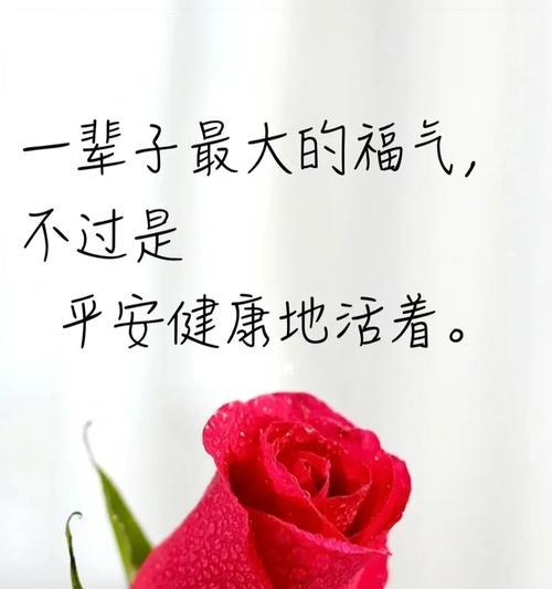 当下是最美好的（当下是最美好的）
