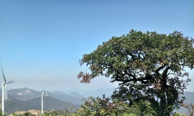大熊山奇遇记（探秘大熊山的美丽和神秘）