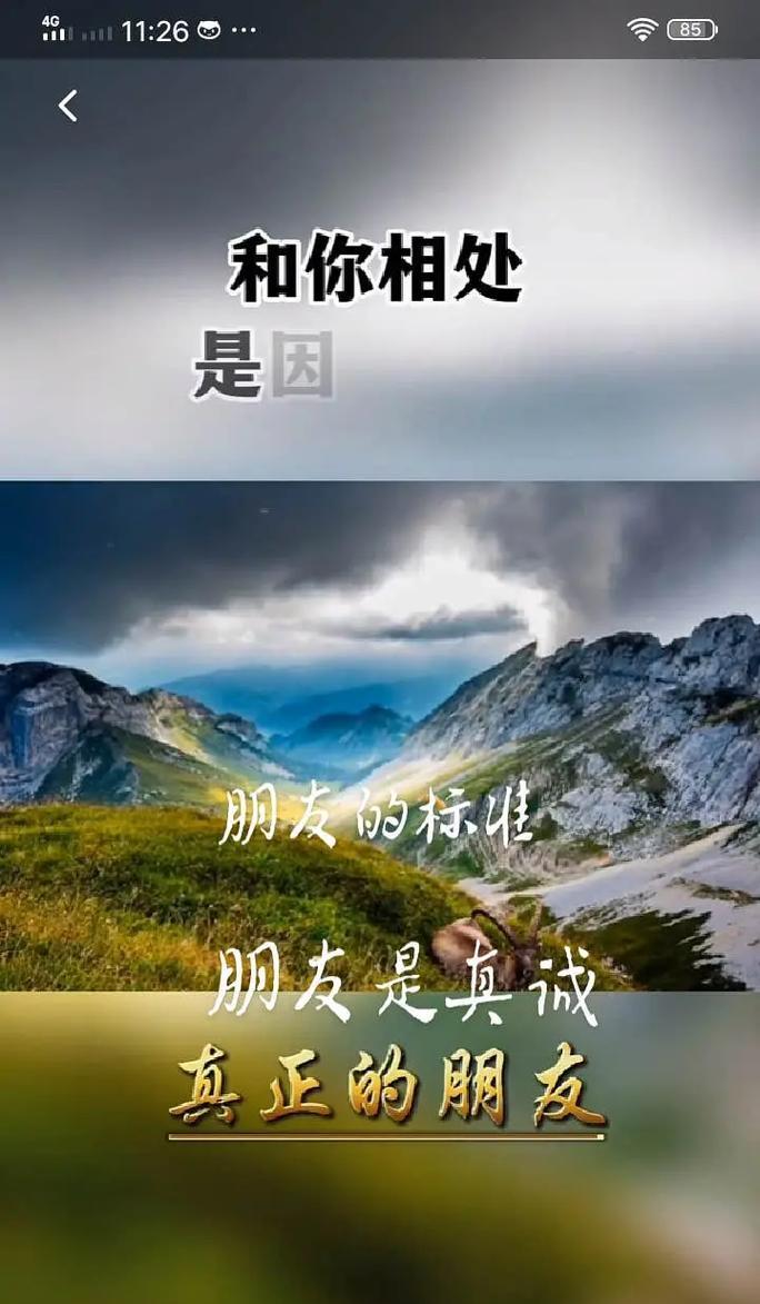 相互珍惜的友谊（朋友如兄弟，守护永恒）
